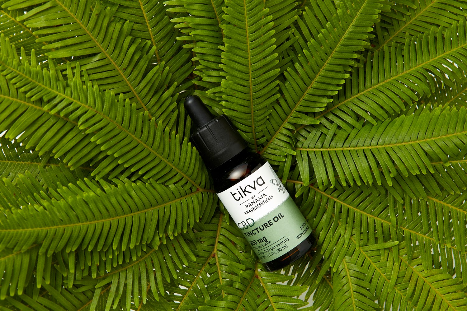 Tikva CBD Tincture Oil on Fern Background